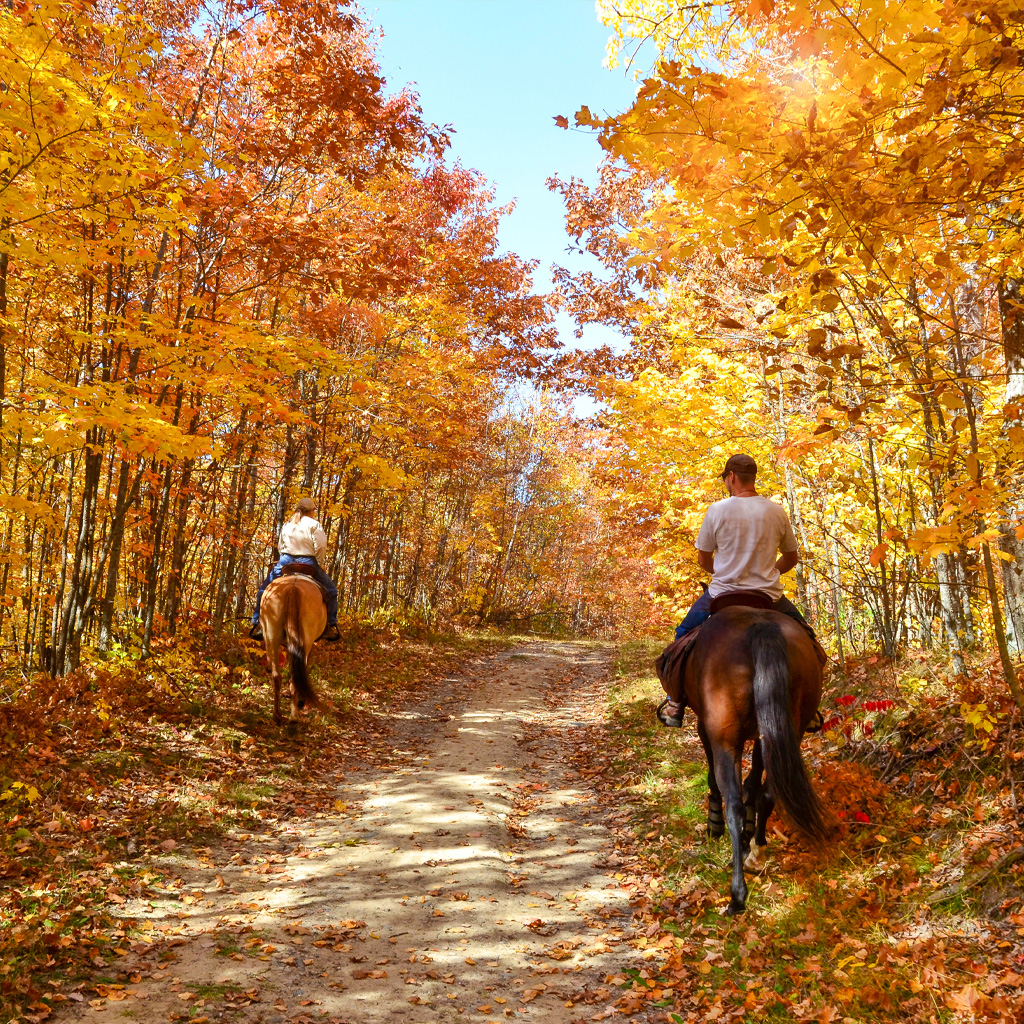 horseback riding