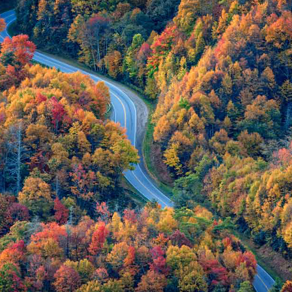 newfound gap